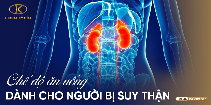 Hình minh họa hai quả thận trong cơ thể người kèm dòng chữ Chế độ ăn uống dành cho người bị suy thận